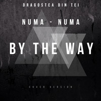 By The Way - Numa Numa (Cover Version)