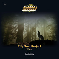 City Soul Project - Wolfy