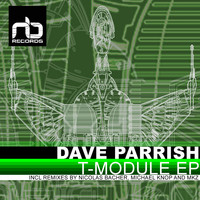 Dave Parrish - T-Module