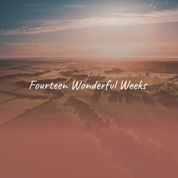 Various Artists - Fourteen Wonderful Weeks