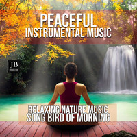 Fly Project - Peaceful Instrumental Music