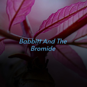 Various Artists - Babbitt and the Bromide