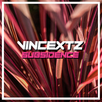 Vincextz - Subsidence
