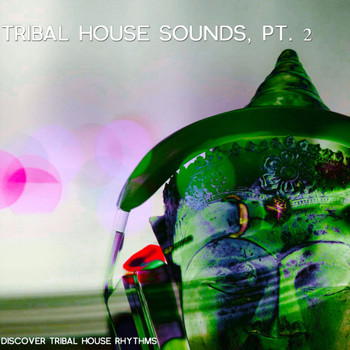 Various Artists - Tribal House Sound, Vol. 2 (Discover Tribal-House Rhythms)