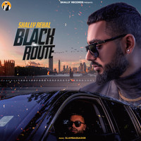 Shally Rehal - Black Route