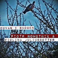 Piotr Nowotnik - Duvan i Skogen