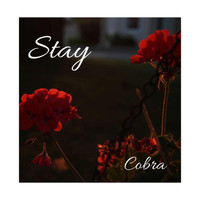 Cobra - Stay