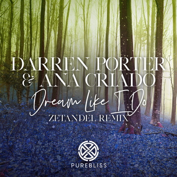Darren Porter & Ana Criado - Dream Like I Do (Zetandel Remix)