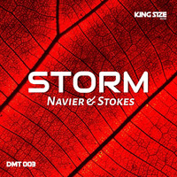 Navier & Stokes - Storm