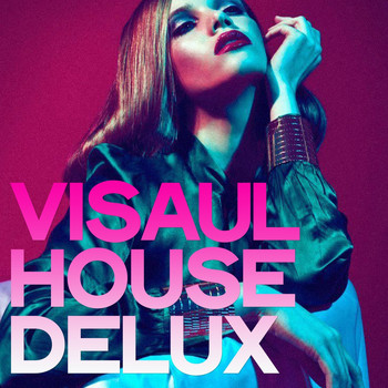 Various Artists - Visaul House Delux