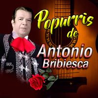 Antonio Bribiesca - Popurris de Antonio Bribiesca