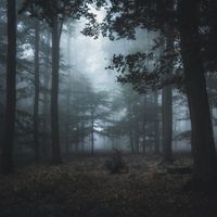 October - Little Forest