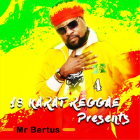 Mr. Bertus - 18 Karat Reggae Presents Mr Bertus