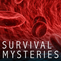 Jeff Whitcher - Survival Mysteries