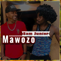 Sam Junior - Mawozo