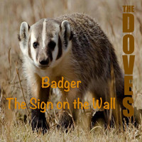 The Doves - Badger / The Sign on the Wall