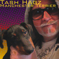 Tash Hagz - Manchester Terrier