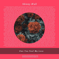 Skinny Wall - Can You Feel My Love