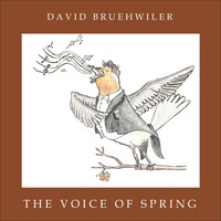 David Bruehwiler - The Voice of Spring