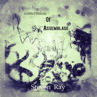 Steven Ray - Convention of Assemblage