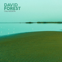 David Forest - Cala Bonita