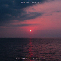 Animadrop - Summer Nights