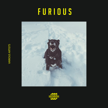 Various Artists - Furious