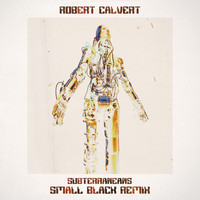 Robert Calvert - Subterraneans (Small Black Remix)