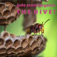 Jude Scott Forgatch - The Hive!