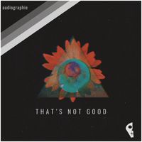 audiographie - That’s Not Good