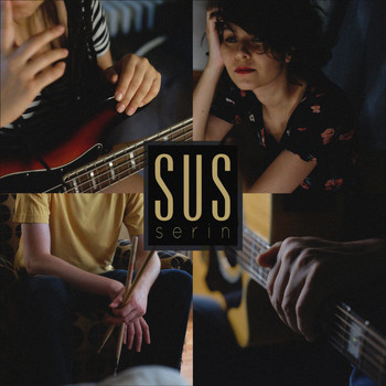 Serin - Sus