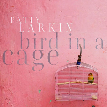 Patty Larkin - Bird in a Cage (Explicit)