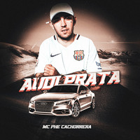 Mc Phe Cachorrera - Audi Prata