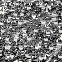 Trippo Marx - Mugwumps in Mukluks (Explicit)