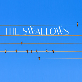 TFM - The Swallows