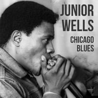 Junior Wells - Junior Wells, Chicago Blues