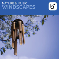 David Arkenstone - Nature & Music: Windscapes
