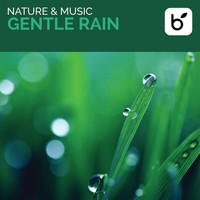 David Arkenstone - Nature & Music: Gentle Rain