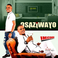 Osaziwayo - Imicondo