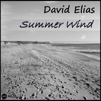 David Elias - Summer Wind