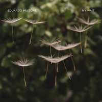 Eduardo Pastore - My Wait