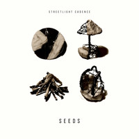 Streetlight Cadence - Seeds