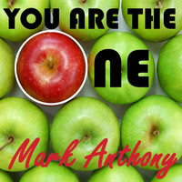 Mark Anthony - You Are the One