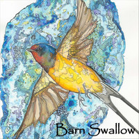 Barn Swallow - Barn Swallow