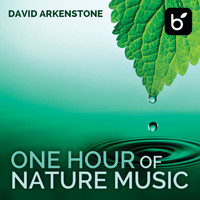 David Arkenstone - One Hour Of Nature Music: For Massage, Yoga And Relaxation