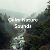 Soft Soundscapes - Calm Nature Sounds