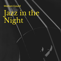 Morton Gould and His Orchestra - Jazz in the Night