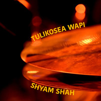 Shyam Shah - Tulikosea Wapi?