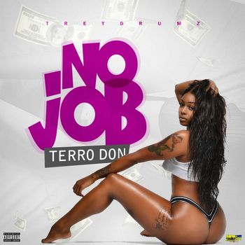 Terro Don - No Job