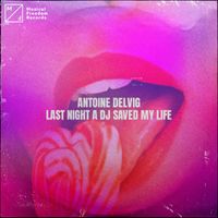 Antoine Delvig - Last Night A DJ Saved My Life